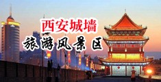 我要看操逼黄片中国陕西-西安城墙旅游风景区